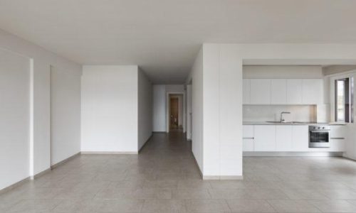 Modern kitchen in empty apartment. Nobody inside